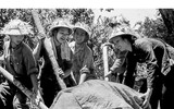 Ngắm những người con Hà Nội qua 